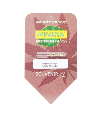 Семена сорта Raspberry Cough reg (Nirvana Seeds)