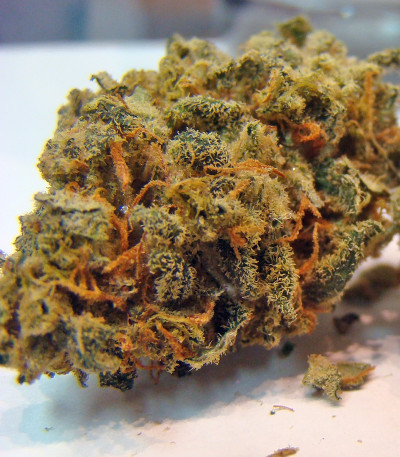 Семена каннабиса Acapulco Gold