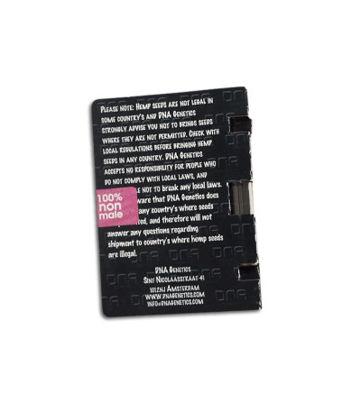 Семена сорта Sour Cream fem (DNA Genetics)