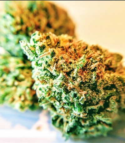 Семена сорта Black Widow fem (Семяныч)