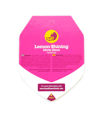 Семена сорта Lemon Shining Silver Haze (Lemon Haze) fem