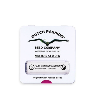 Семена конопли Auto Brooklyn Sunrise в оригинальной упаковке