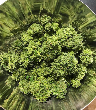 Семена сорта Underdawg Kush fem