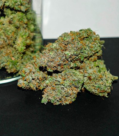 Семена сорта Crime Caramel Auto fem (Семяныч)