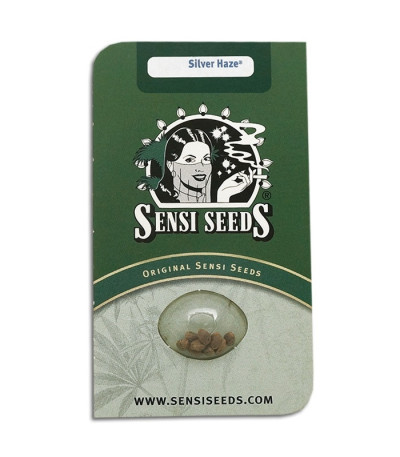 Семена сорта Silver Haze reg (Sensi Seeds)