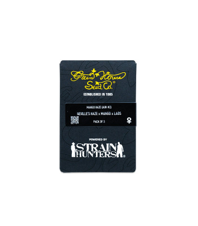 Семена сорта Mango Haze fem