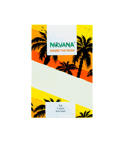 Семена сорта Ice fem (Nirvana Seeds)