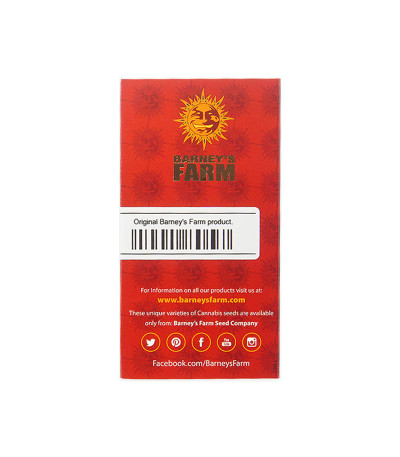 Семена сорта Wedding Cake Auto fem (Barney's Farm)