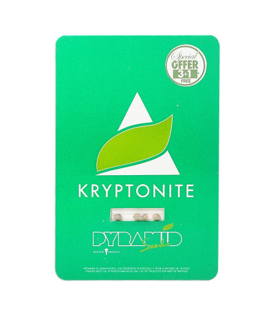 Семена сорта Kryptonite fem (Pyramid Seeds)