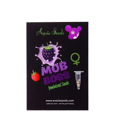 Семена сорта Mob Boss fem (Anesia Seeds)