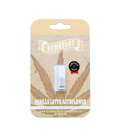 Семена сорта Vanilla Latte Auto fem от Humboldt Seed Company