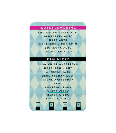 Семена конопли сорта White Widow