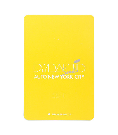 Семена сорта Auto New York City (Pyramid Seeds)
