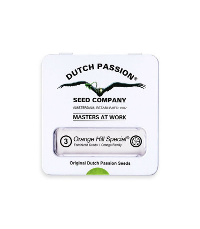 Семена сорта Orange Hill Special fem