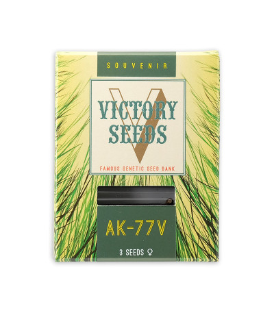 Семена сорта AK-77V fem (Victory Seeds)