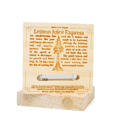 Семена сорта Lemon Juice Express Auto fem