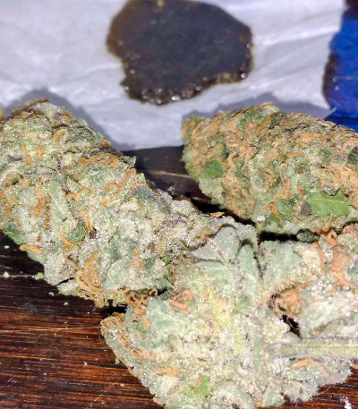 Семена сорта Purple Trainwreck fem