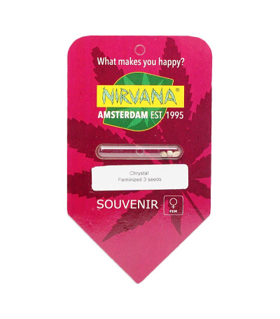 Семена сорта Chrystal fem (Nirvana Seeds)