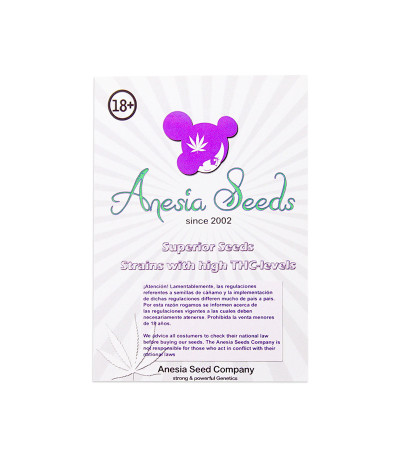 Семена сорта Big Bazooka fem (Anesia Seeds)