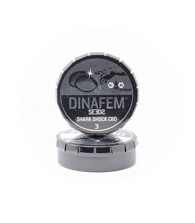 Семена сорта Shark Shock CBD fem