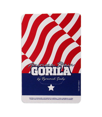 Семена сорта Gorila fem (Pyramid Seeds)