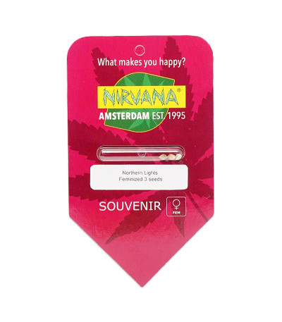 Семена сорта Northern Lights fem (Nirvana Seeds)