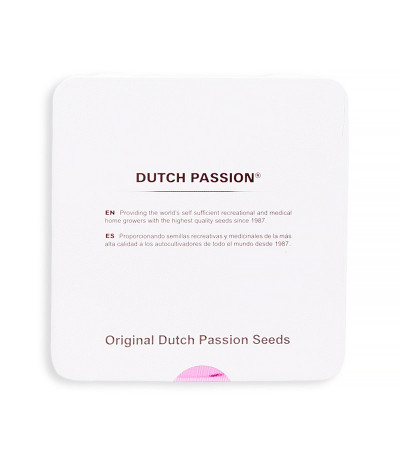 Семена сорта Auto Xtreme fem (Dutch Passion)