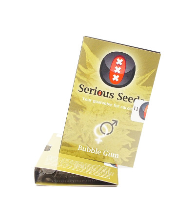 Семена сорта Bubble Gum reg (Serious Seeds)