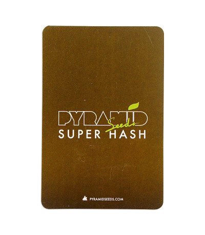 Семена сорта Super Hash fem (Pyramid Seeds)