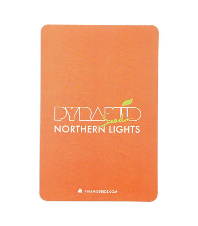 Семена сорта Northern Lights fem (Pyramid Seeds)
