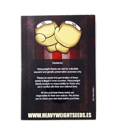 Семена сорта Champion fem (Heavyweight Seeds)