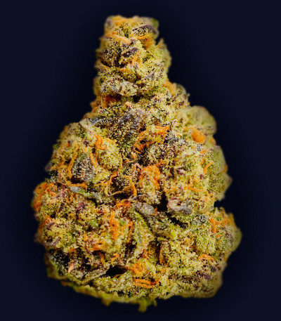 Семена сорта Rainbow Melon fem (FastBuds)