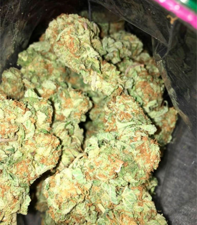 Семена сорта Afghan Cow fem (Dr. Krippling Seeds)