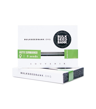 Семена сорта Auto Sunmango (Somango) fem