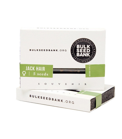 Семена сорта Jack Hair fem