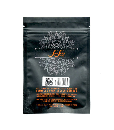 Семена сорта Punky Lion fem (Samsara Seeds)