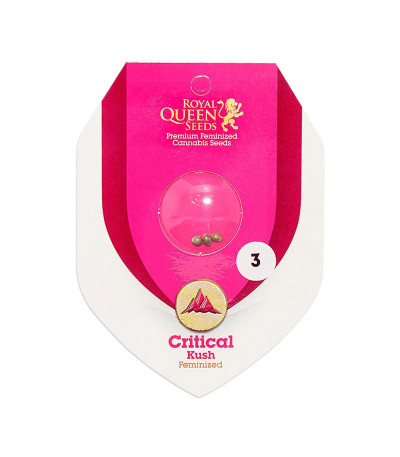 Семена сорта Critical Kush fem (Royal Queen Seeds)