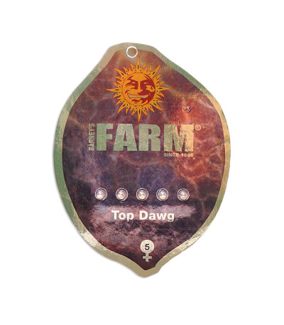 Семена сорта Top Dawg fem