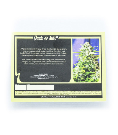 Семена сорта Jack 47 Auto fem (Sweet Seeds)