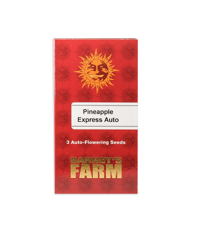Семена сорта Pineapple Express Auto fem (Barney's Farm)