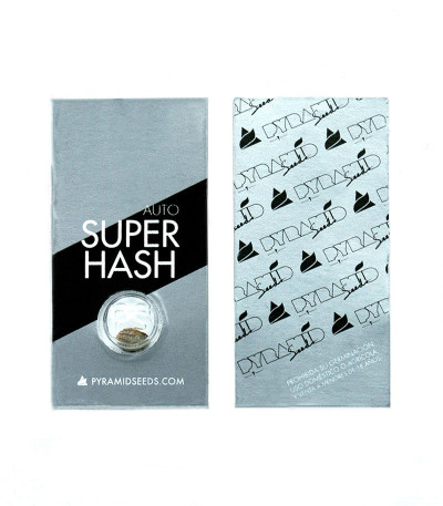 Семена сорта Auto Super Hash fem (Pyramid Seeds)