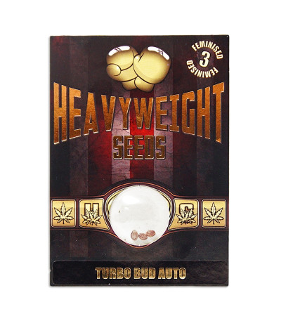 Семена сорта Turbo Bud Auto fem (Heavyweight Seeds)