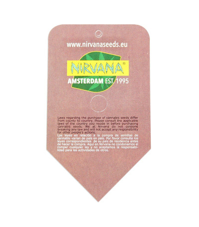 Семена сорта Misty Kush reg