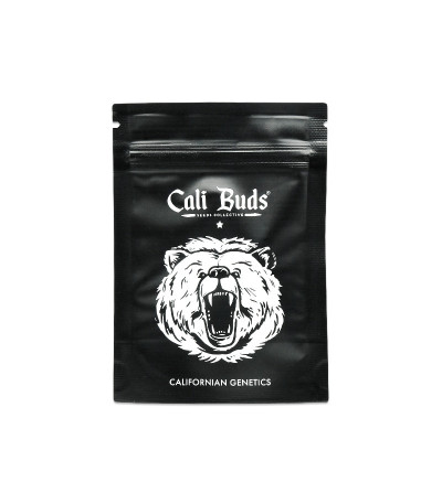 Семена сорта Punch Gelato #33 Auto fem (Cali Buds Seeds)