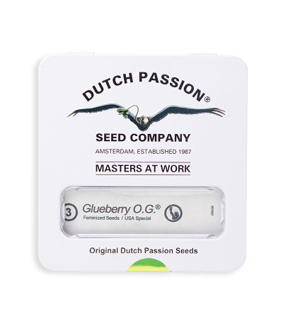 Семена каннабиса Glueberry O.G. в оригинальной упаковке