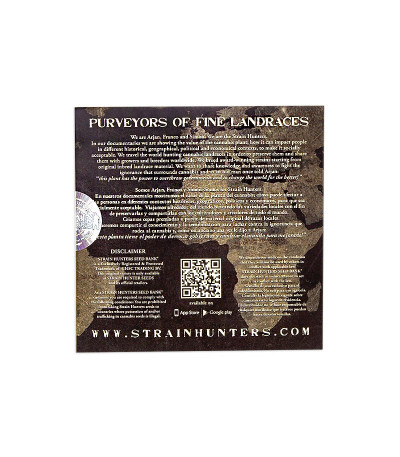 Семена сорта White Strawberry Skunk fem (Strain Hunters)