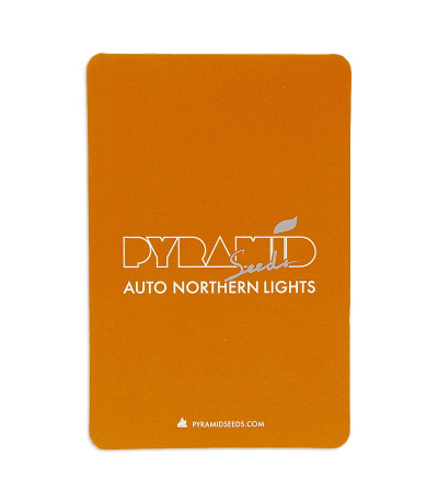 Семена сорта Auto Northern Lights fem (Pyramid Seeds)