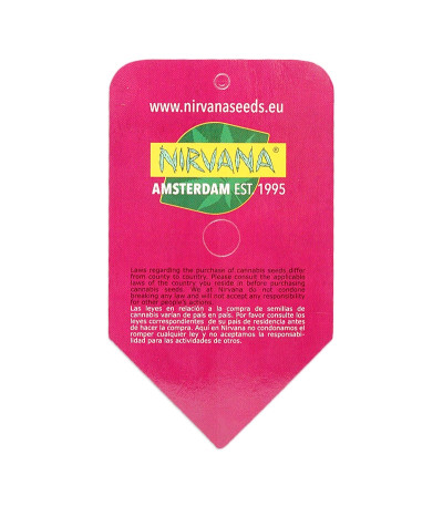 Семена сорта Hindu Kush (Kaya Gold) fem (Nirvana Seeds)