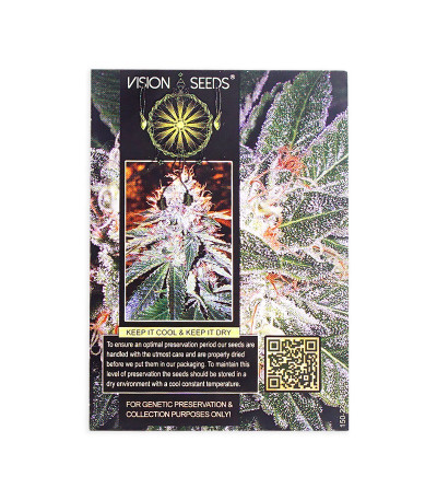Семена сорта Tom Kush OG fem (Vision Seeds)