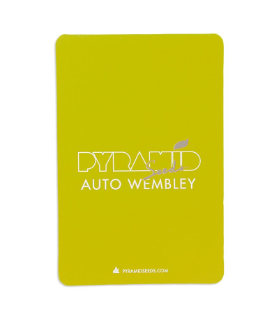 Семена сорта Auto Wembley fem (Pyramid Seeds)